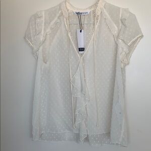 Zara sheer polka dot blouse